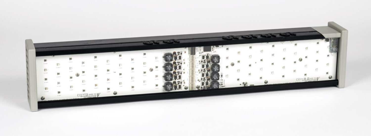 CF066103-scaled